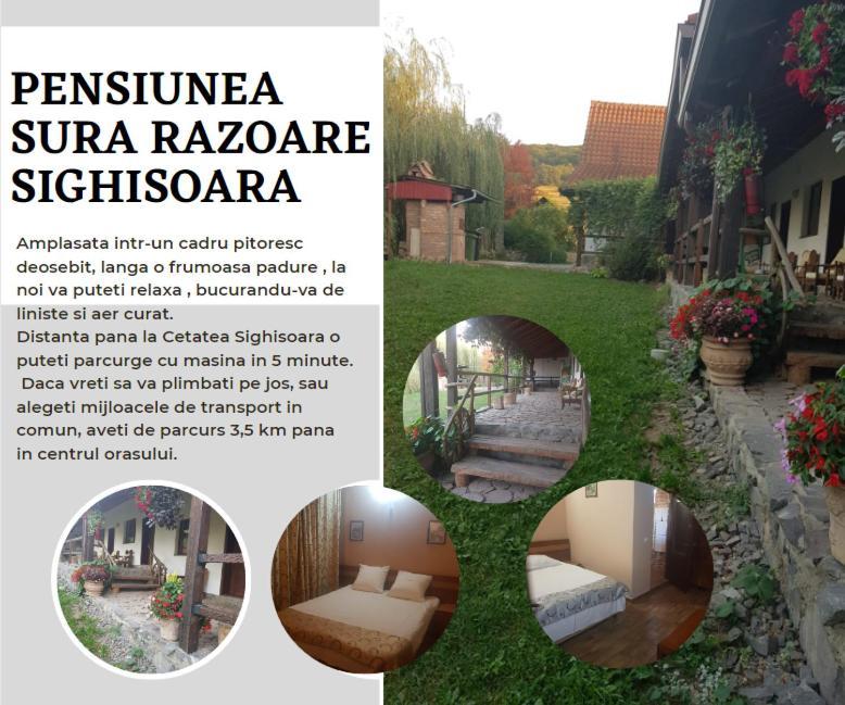 Vila Sura Razoare Sighişoara Eksteriør billede